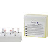 BORDETELLA R-GENE KIT®