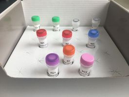 SARS-COV-2 R-GENE®