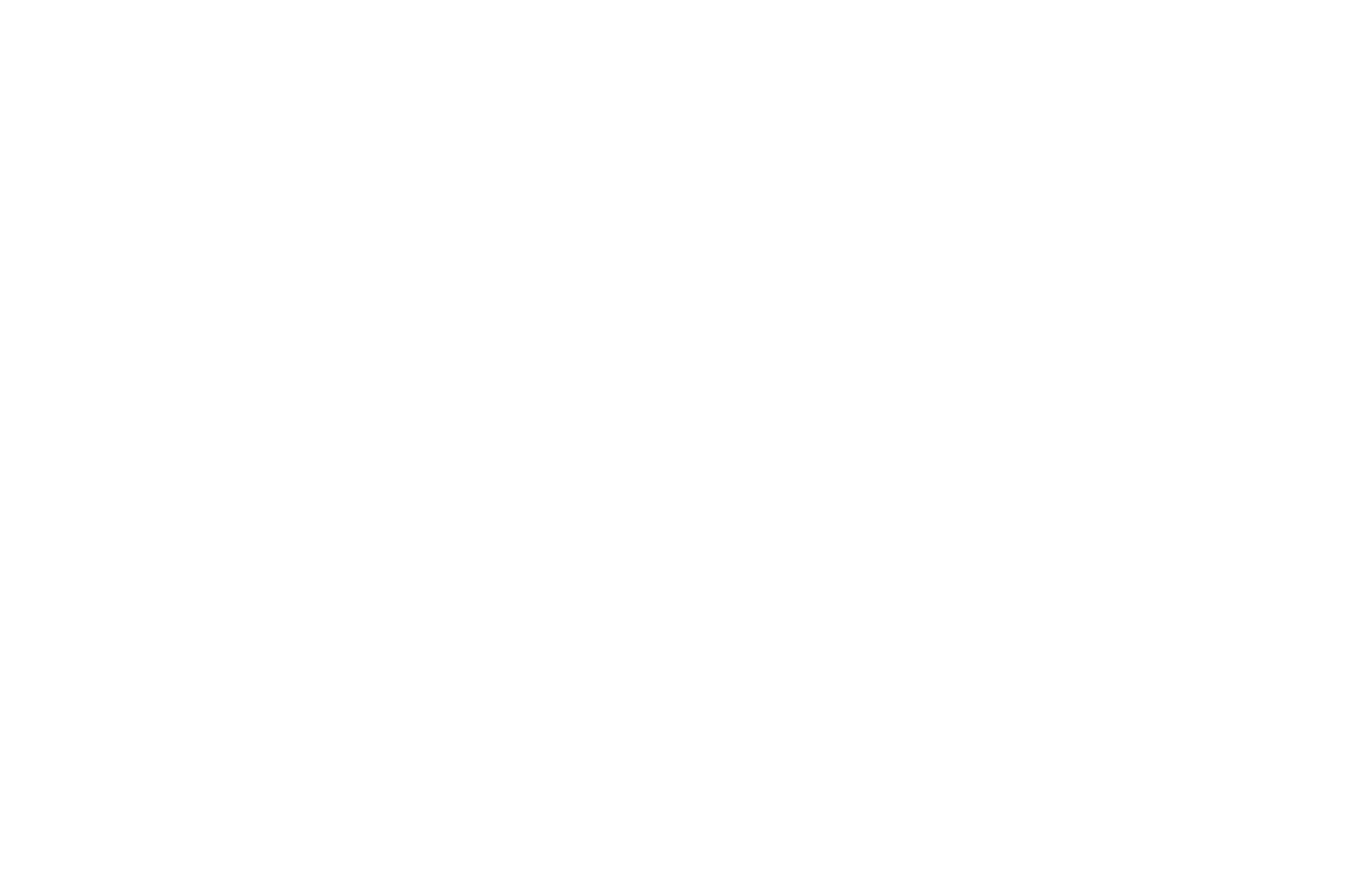 T2S Solutions - T2S Group