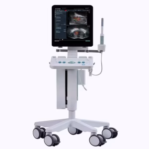bk3000